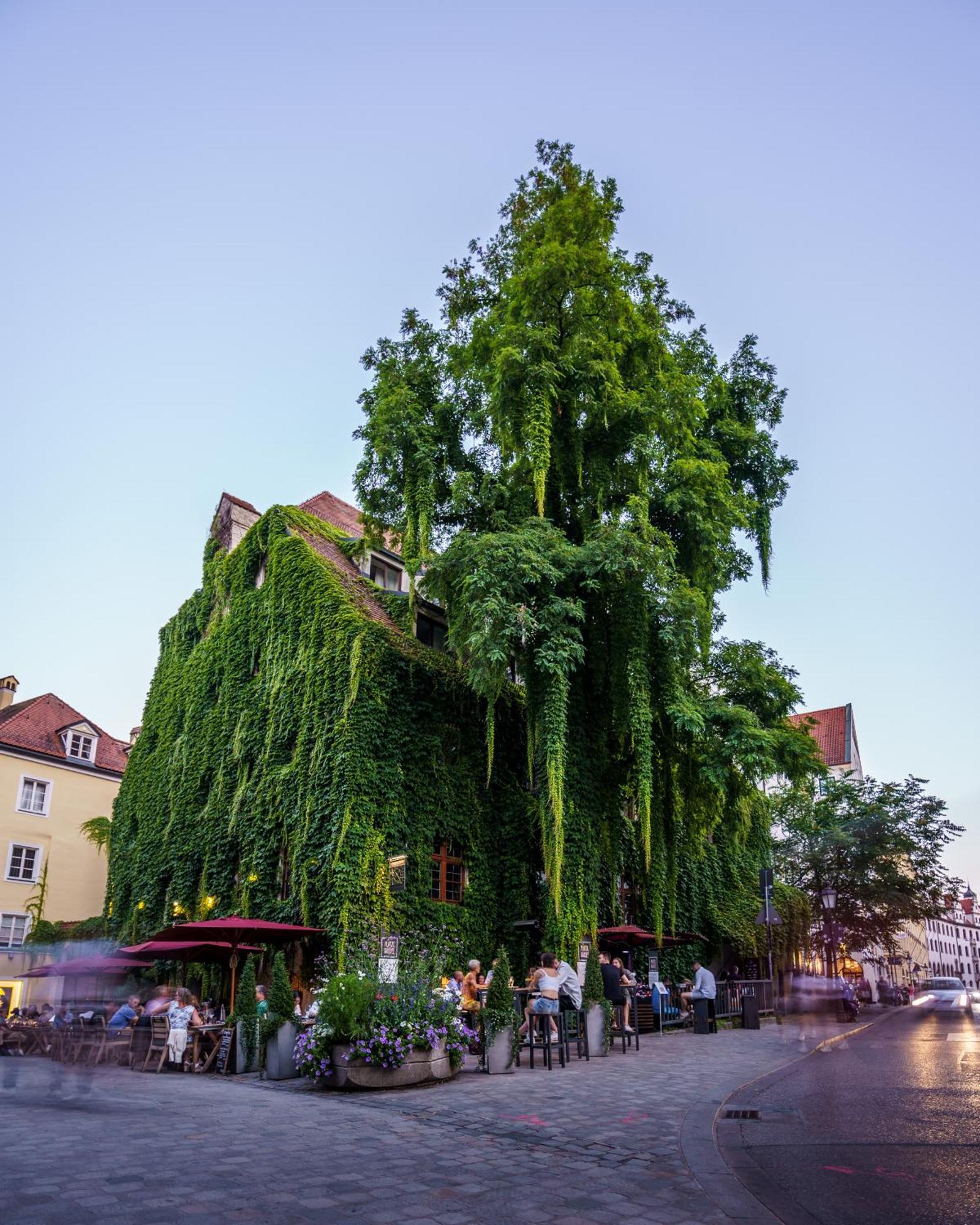 Platzl Hotel München Buitenkant foto